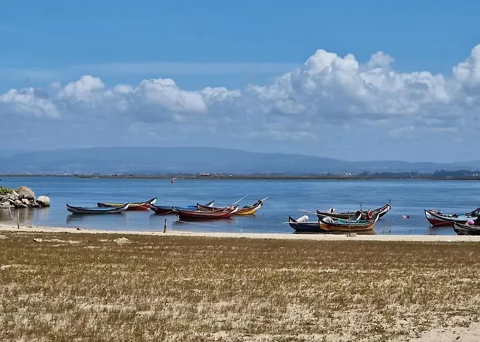 Casa Camarinhas * アヴェイロ