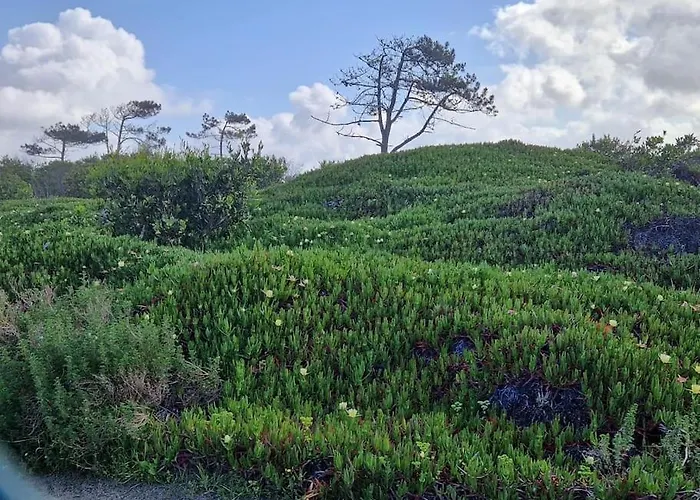 Casa Camarinhas 別荘 アヴェイロ